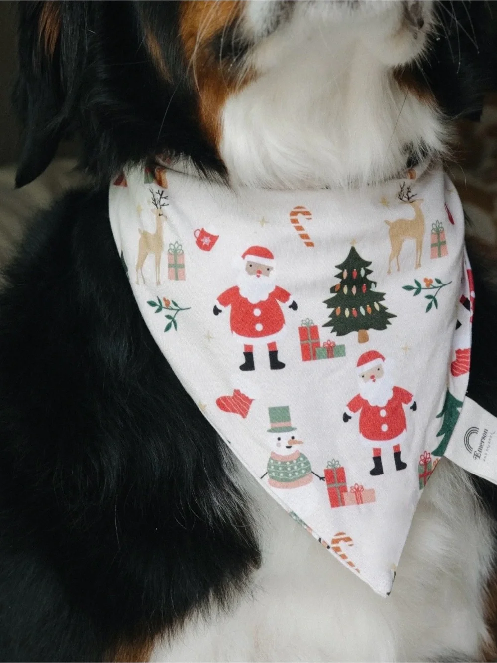 Emerson And Friends soft festive